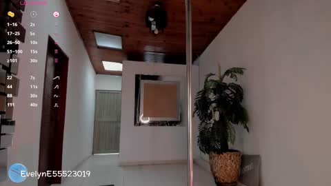 Snapshot of evelyn_evelyn chatting on October 2025 04:30:01 PM evelyn evelyn online show from October 2025 04:30:01 PM