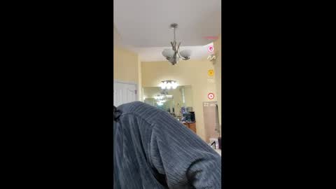 Aly online show from April 2026 07:36:01 PM