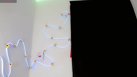 Snapshot of everlin_01 chatting on May 2026 07:21:01 PM everlin_01 online show from May 2026 07:21:01 PM