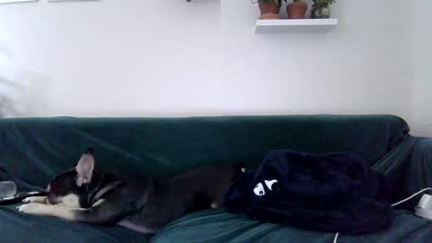 Snapshot of evillers1 chatting on October 2025 11:41:02 PM Badblondebunny online show from October 2025 11:41:02 PM