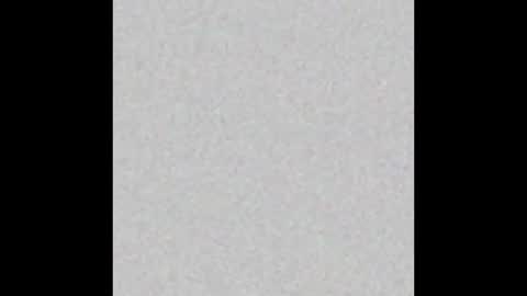 Kevin online show from October 2025 05:52:01 PM