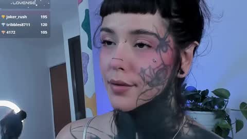 Fairy online show from March 2025 04:33:02 PM