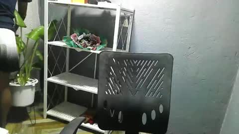 fairygaga online show from November 2025 02:54:01 PM