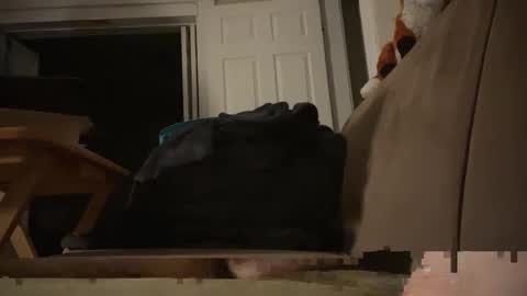 Fango online show from October 2025 05:26:02 AM