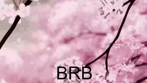 Snapshot of farahmantifel chatting on October 2025 01:43:02 PM Anna Scovich online show from October 2025 01:43:02 PM