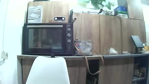 hausewife online show from May 2026 07:41:01 PM