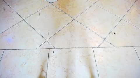 fartech online show from September 2025 02:44:02 PM