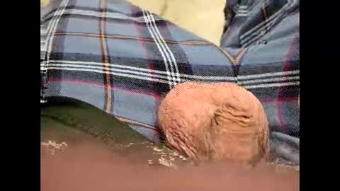 fartinmymouthplz online show from November 2025 03:45:01 AM