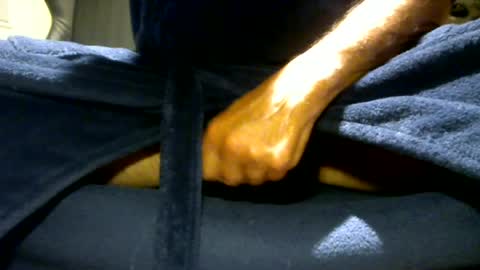 fastoys aka ...what ever.. online show from July 2026 06:32:01 PM