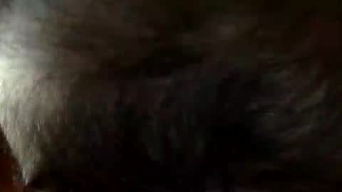 FastStr0ker10 online show from December 2025 09:11:01 PM