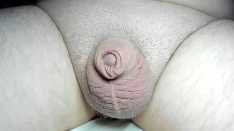 Snapshot of fatmanscock chatting on December 2024 04:04:01 AM Fatmanscock online show from December 2024 04:04:01 AM