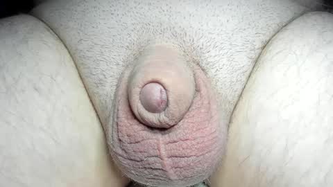 Snapshot of fatmanscock chatting on December 2024 07:05:01 AM Fatmanscock online show from December 2024 07:05:01 AM