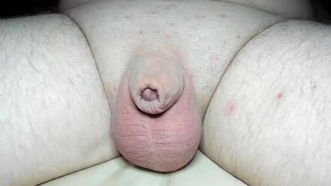 Snapshot of fatmanscock chatting on March 2025 05:11:02 AM Fatmanscock online show from March 2025 05:11:02 AM