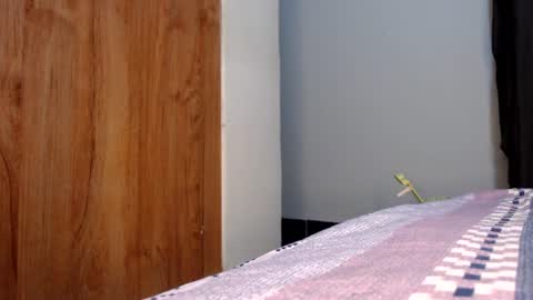 Snapshot of fatpussy_ebony_girl chatting on July 2026 07:56:02 AM lexie online show from July 2026 07:56:02 AM