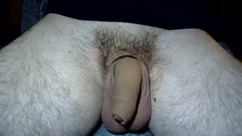 fekadam online show from April 2026 08:11:02 PM