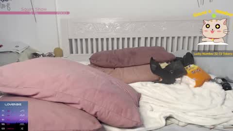 Felicia busty26 online show from December 2024 11:14:01 AM