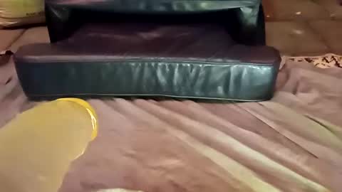 femboy710cum online show from December 2024 11:24:01 PM