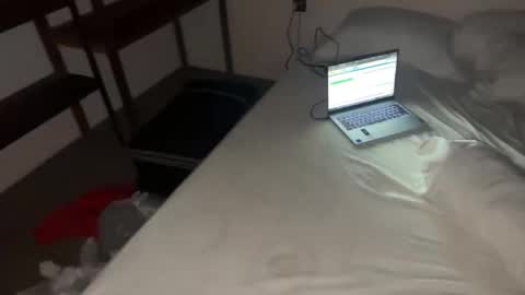 Snapshot of femboydanii chatting on November 2025 08:30:01 PM Dani online show from November 2025 08:30:01 PM