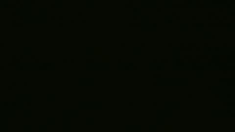 Fenix  online show from December 2024 03:59:02 AM