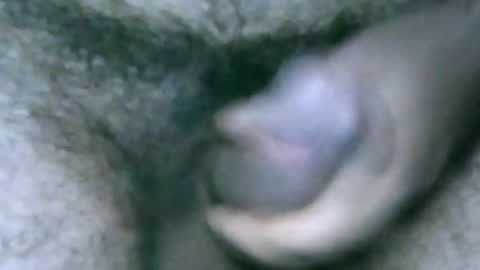 Snapshot of fer_2197 chatting on December 2024 01:17:01 PM fer_2197 online show from December 2024 01:17:01 PM