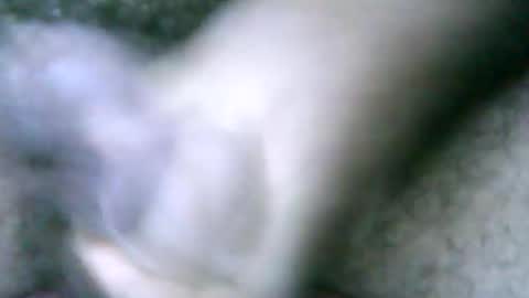 Snapshot of fer_2197 chatting on February 2025 02:06:02 PM fer_2197 online show from February 2025 02:06:02 PM