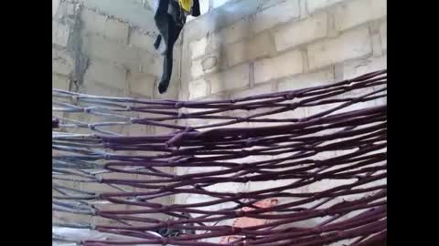 fernandez_latinblack online show from October 2025 02:12:02 PM