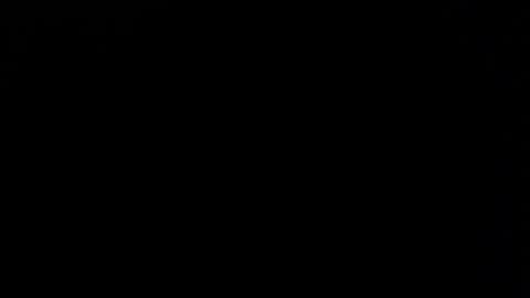 FER PHOENIX online show from December 2024 03:47:02 AM