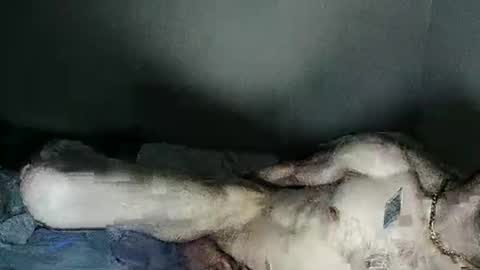 fetishsearch1abdl online show from February 2025 06:18:02 AM