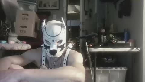 fetishsearch1abdl online show from September 2025 07:25:02 AM