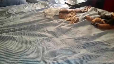 ffst0ckings online show from December 2024 07:56:01 PM