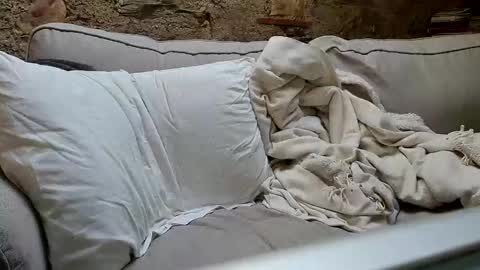 Fid online show from January 2025 10:35:02 AM