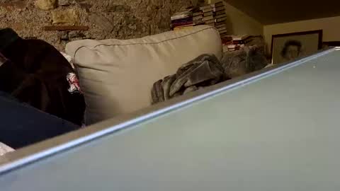 Fid online show from January 2025 10:23:01 PM