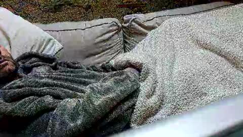 Fid online show from February 2025 01:31:02 PM