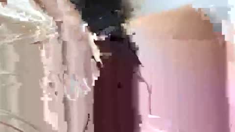 fifipan online show from October 2025 09:28:01 AM