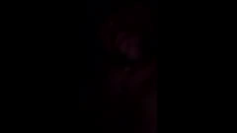 fifipan online show from March 2026 02:04:02 AM