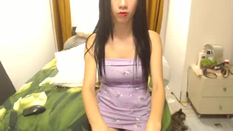 stephanie online show from March 2025 01:57:02 PM