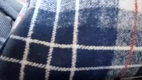 filthyskanktrollop online show from November 2025 04:41:01 PM