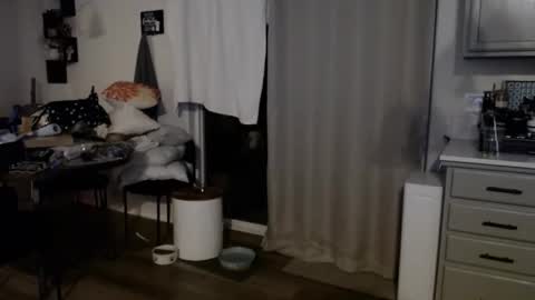 fishcatcherj online show from June 2026 09:03:01 AM