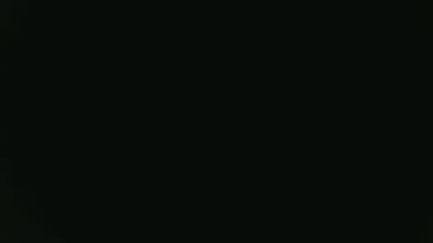 Fish online show from January 2025 10:02:01 PM