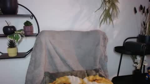fitness1989 online show from July 2026 08:55:02 PM
