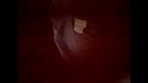 flexngudlit online show from March 2026 06:59:01 PM