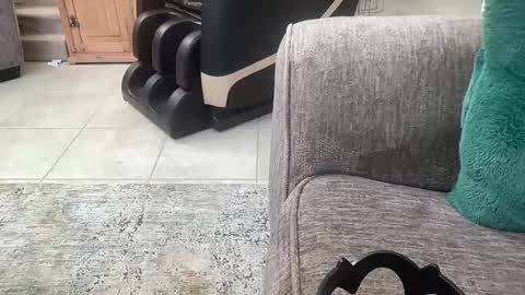 Flirtyfayex online show from February 2026 11:41:01 PM
