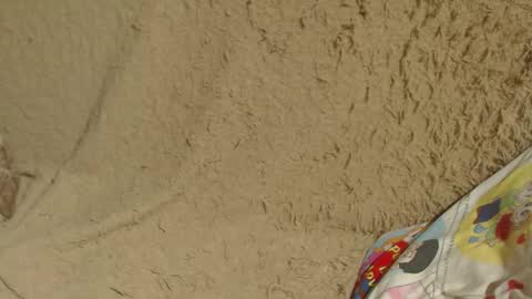 say meow and send tip  online show from January 2025 07:41:02 PM