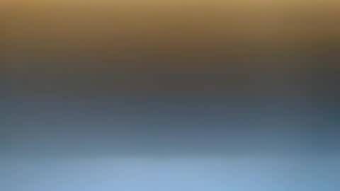 flowster221 online show from February 2026 12:23:01 AM