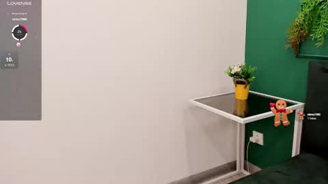 Snapshot of fluffy_monica chatting on December 2024 07:29:01 AM Monica online show from December 2024 07:29:01 AM