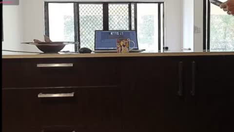 fnq41 online show from June 2026 11:53:02 PM