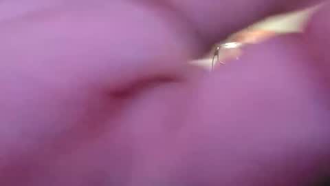 focusfuker online show from November 2025 11:13:01 PM