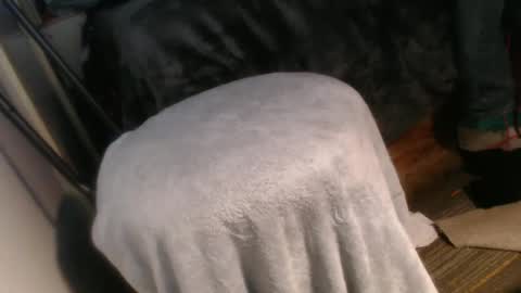 Snapshot of forestnymphpdx chatting on December 2024 10:16:02 AM forestnymphpdx online show from December 2024 10:16:02 AM