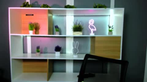 fose di online show from February 2026 07:34:02 PM