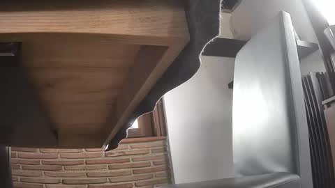 Snapshot of fra__71 chatting on April 2026 02:25:02 PM fra 71 online show from April 2026 02:25:02 PM